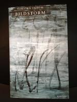 Bildstorm