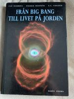 Fr&aring;n Big Bang till livet p&aring; jorden