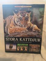 Stora kattdjur : m&ouml;t v&auml;rldens mest fascinerande rovdjur