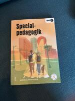 Specialpedagogik
