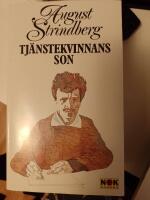 Tj&auml;nstekvinnans son