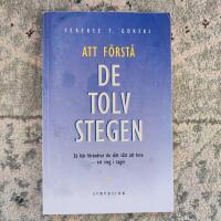 Att f&ouml;rst&aring; de Tolv stegen : en tolkning och v&auml;gledning