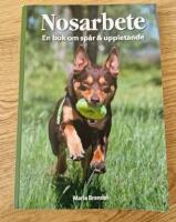 Nosarbete