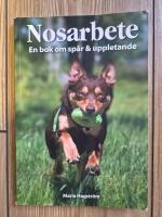 Nosarbete