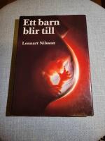 Ett barn blir till