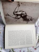 Michelangelo all the works