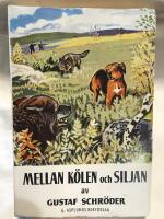 Mellan k&ouml;len och siljan 