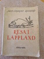 Resa i Lappland