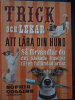 Trick och lekar att l&auml;ra din hund
