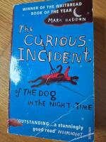 The Curious Incident of Dog in the Night-Time