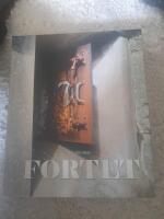Fortet - boken om Oscar II fort
