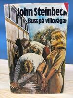 Buss p&aring; villov&auml;gar