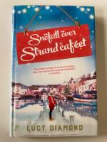 Sn&ouml;fall &ouml;ver strandcaf&eacute;et