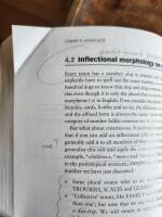 English words and sentences : an introduction