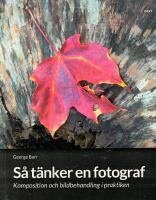 S&aring; t&auml;nker en fotograf : komposition och bildbehandling i praktiken