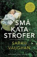 Sm&aring; katastrofer