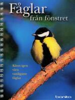 F&aring;glar fr&aring;n f&ouml;nstret