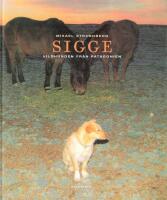 Sigge -vildhunden fr&aring;n Patagonien