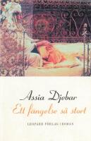 Ett f&auml;ngelse s&aring; stort : roman