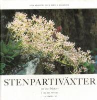 Stenpartiv&auml;xter