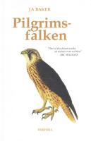 Pilgrimsfalken