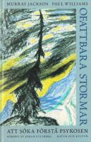 Ofattbara stormar : Att s&ouml;ka f&ouml;rst&aring; psykosen