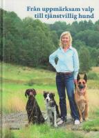 Fr&aring;n uppm&auml;rksam valp till tj&auml;nstvillig hund