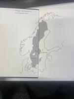 Historien om Sverige : Dr&ouml;mmar och verklighet