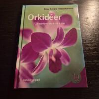 Orkid&eacute;er : Expertens b&auml;sta r&aring;d & tips