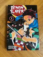 Demon Slayer: Kimetsu no Yaiba, Vol. 1