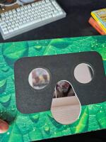 Amphibians & Reptiles in 3D
