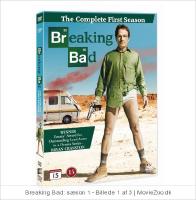 Breaking bad- first season