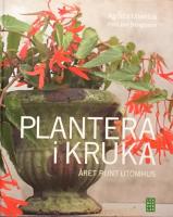Plantera i kruka