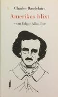 Amerikas blixt &ndash; om Edgar Allan Poe