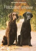 Flatcoated retriever
