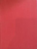 Bygga om - stadsf&ouml;rnyelse genom ombyggnad