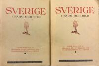 Sverige i f&auml;rg och bild