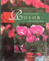 Rosor