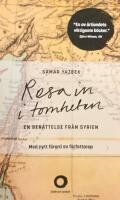 Resa in i tomheten : en ber&auml;ttelse fr&aring;n Syrien