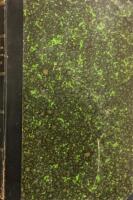 Geografiska f&ouml;reningens tidskrift adertonde &aring;rg&aring;ngen