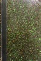 Geografiska f&ouml;reningens tidskrift nittonde &aring;rg&aring;ngen