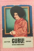 Guru! : en resa i underlandet