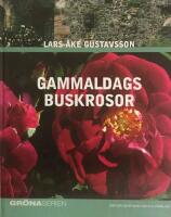 Gammaldags buskrosor