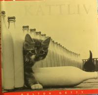 Kattliv : en fotografisk hyllning
