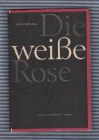 Die Weisse Rose