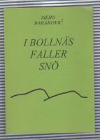 I Bolln&auml;s faller sn&ouml;