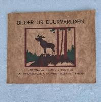 Bilder ur djurv&auml;rlden