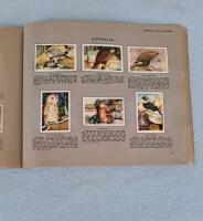 Bilder ur djurv&auml;rlden