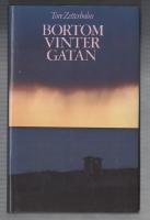 Bortom Vintergatan