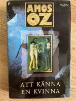 Att k&auml;nna en kvinna 